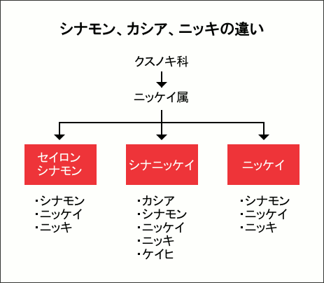 【大人の味?】ニッキ飴って本当に美味しい?