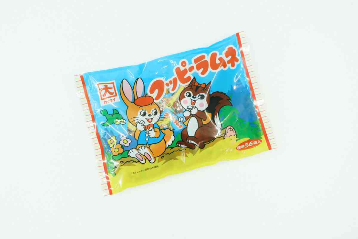 昭和駄菓子が若者に大ブーム ビッグカツ、モロッコヨーグル…令和に生き残る「意外な理由」