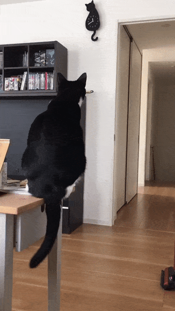 独りが好きなのに、寂しがり屋の人のトピ