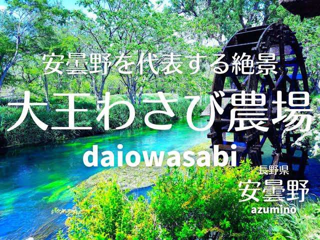わさびが好き