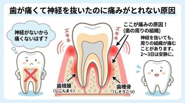 歯が痛い