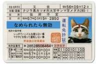 駄菓子屋さんの思い出