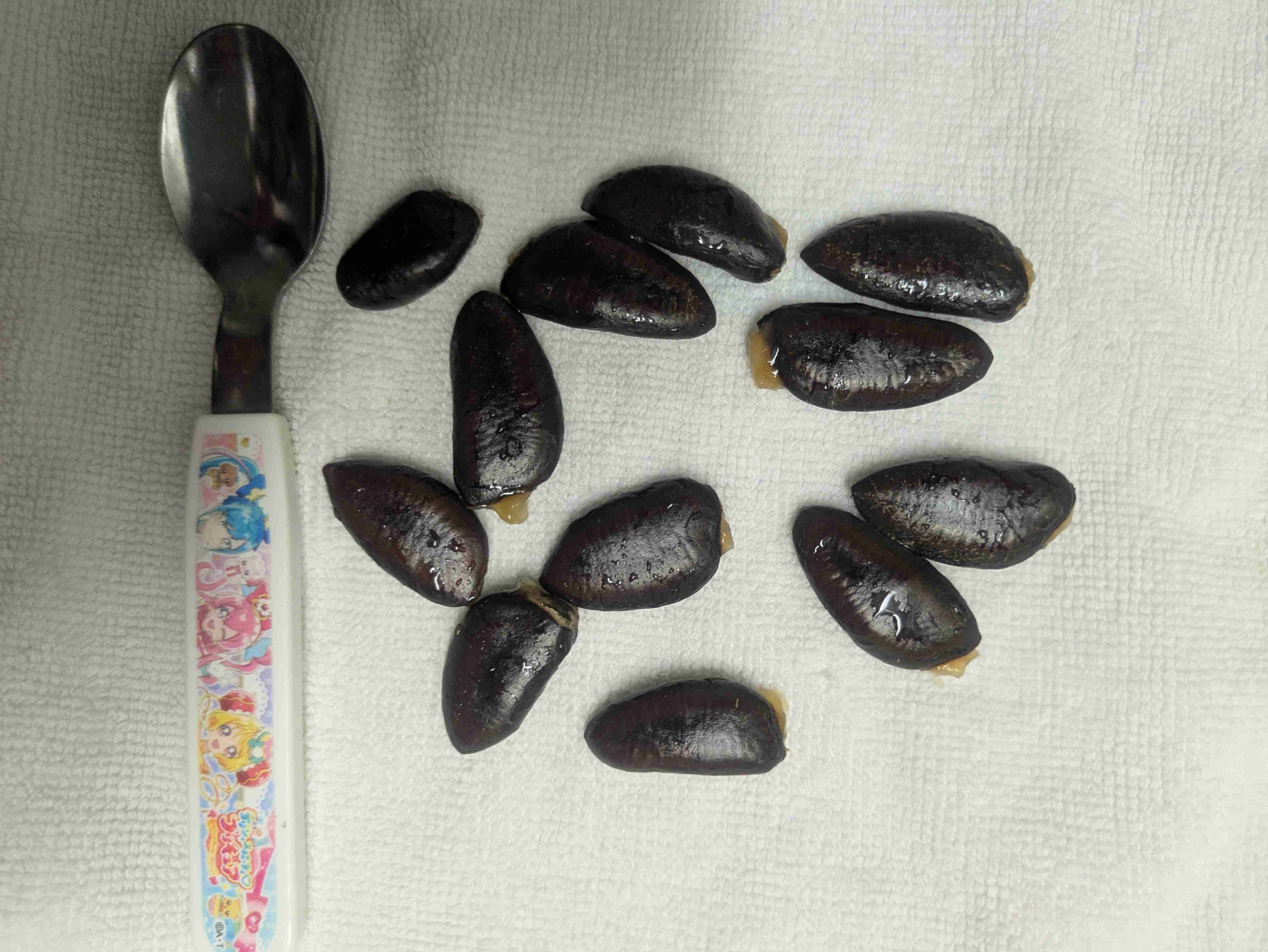 今日食べたおやつを書くだけのトピ