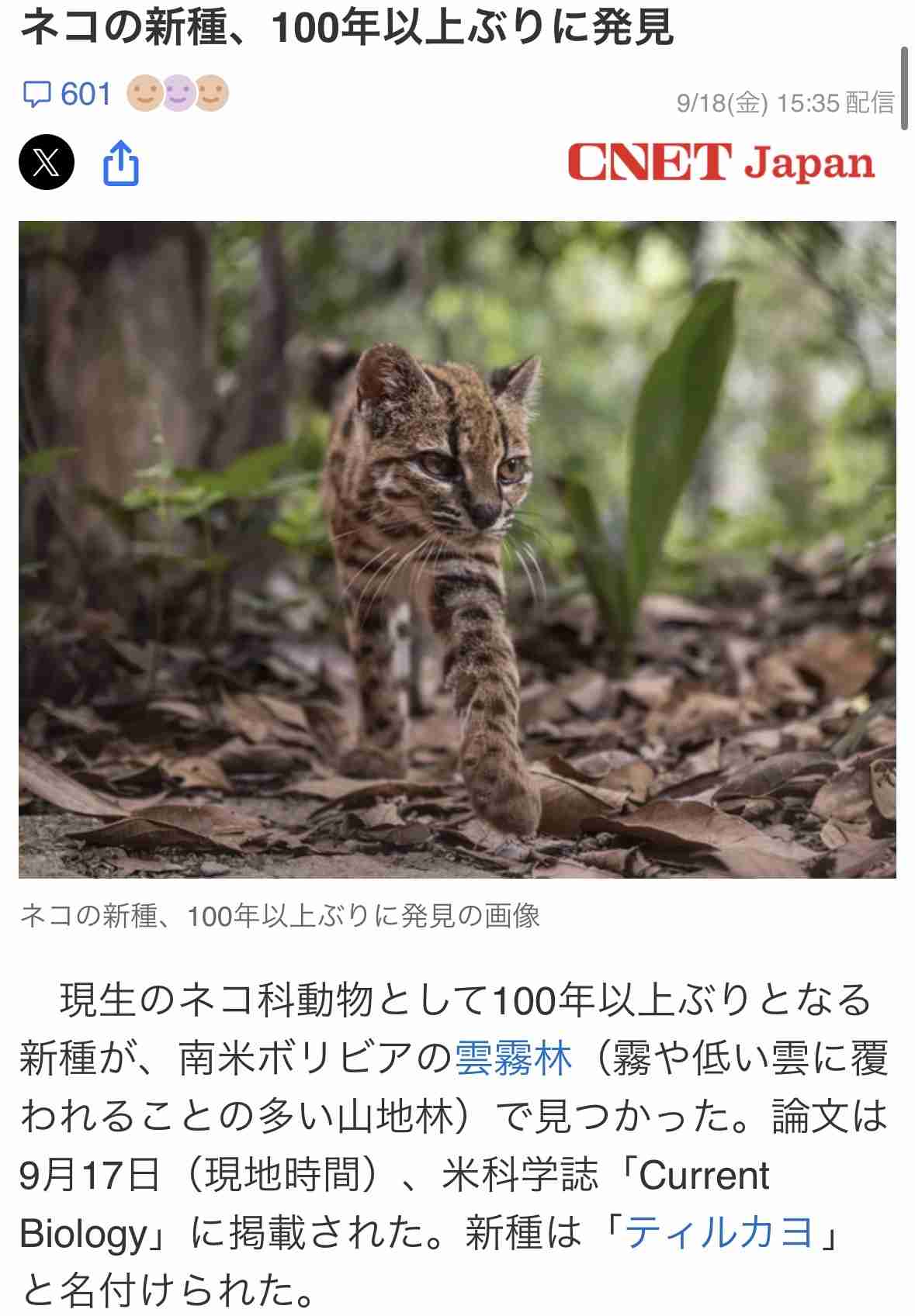 🍂シルバーウィーク雑談トピ 2026🍂