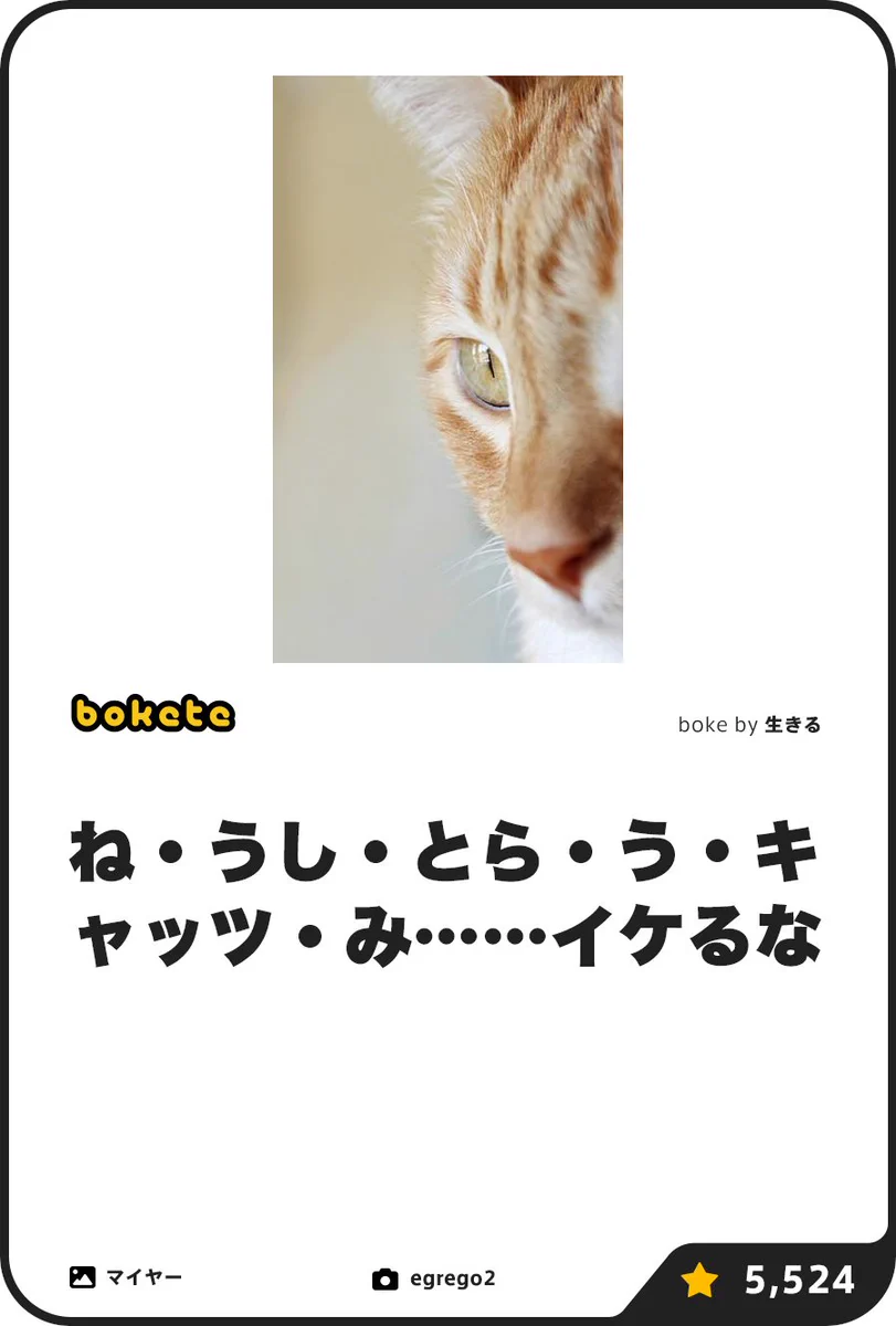 近所のおばあさんが、やんちゃな飼い猫にお説教してたんだけど、「そんなんだから、猫は干支に選ばれないんだよ!」って言ってて笑った