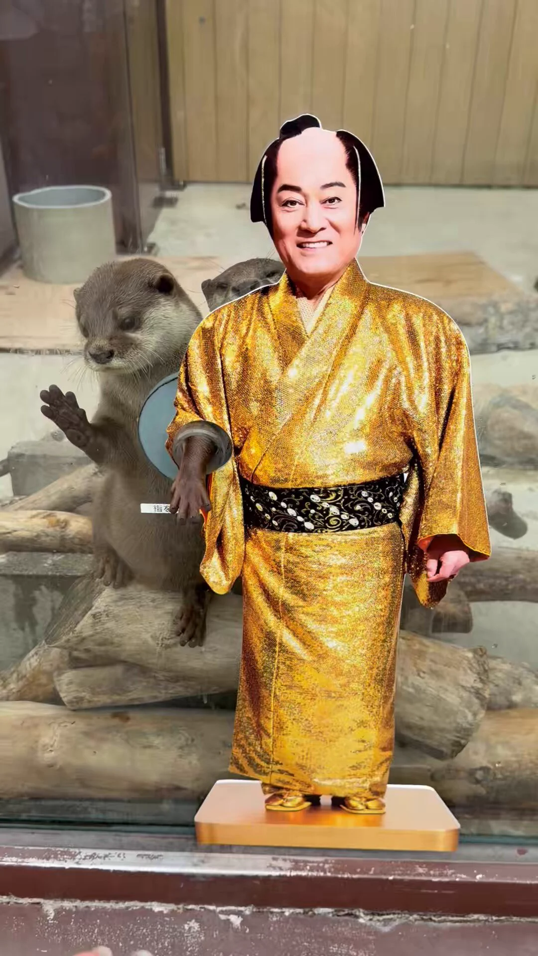 こんなところに松平健