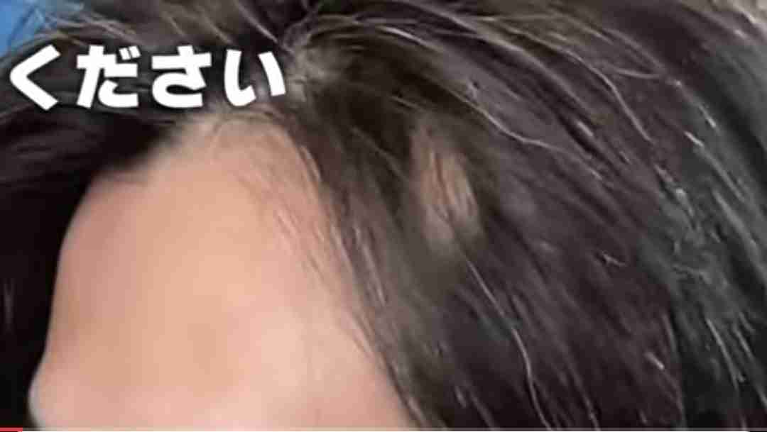 長期間海外旅行したことある人