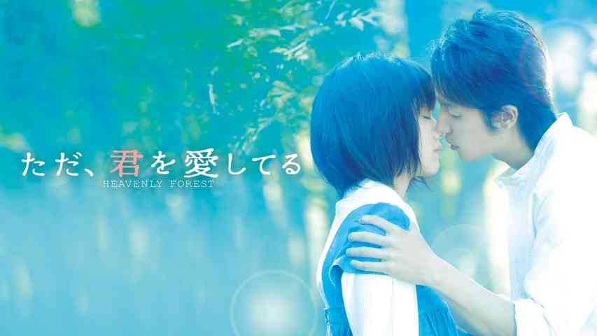 号泣したドラマ、映画