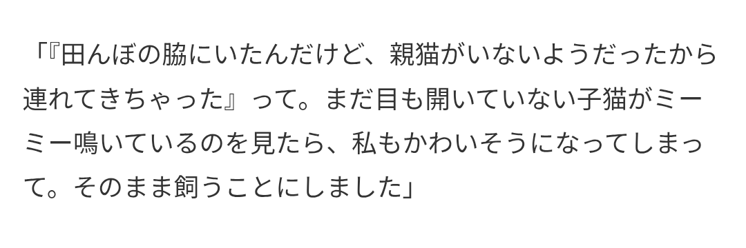 「心優しい夫」だと思っていた…3年で犬猫9匹の大所帯に 「子どもが欲しい」と言われた妻の不安 夫婦カウンセラーがアドバイス