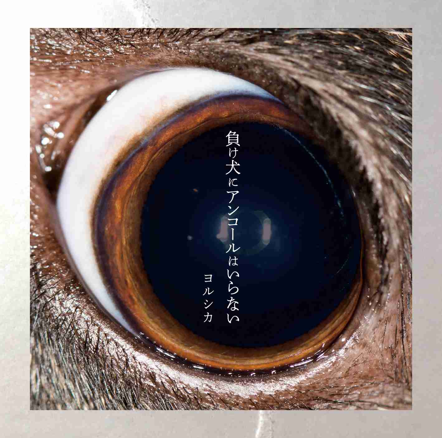 カラオケで好きな人に歌ってほしい曲