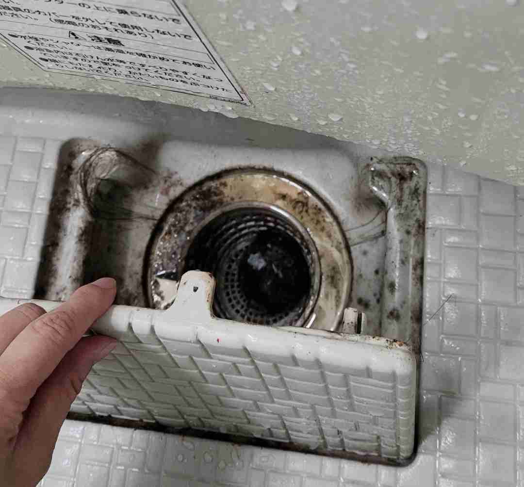 排水口掃除どのくらいのペース?