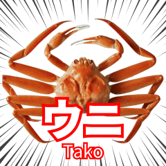 無彩色の動物誰が好き？
