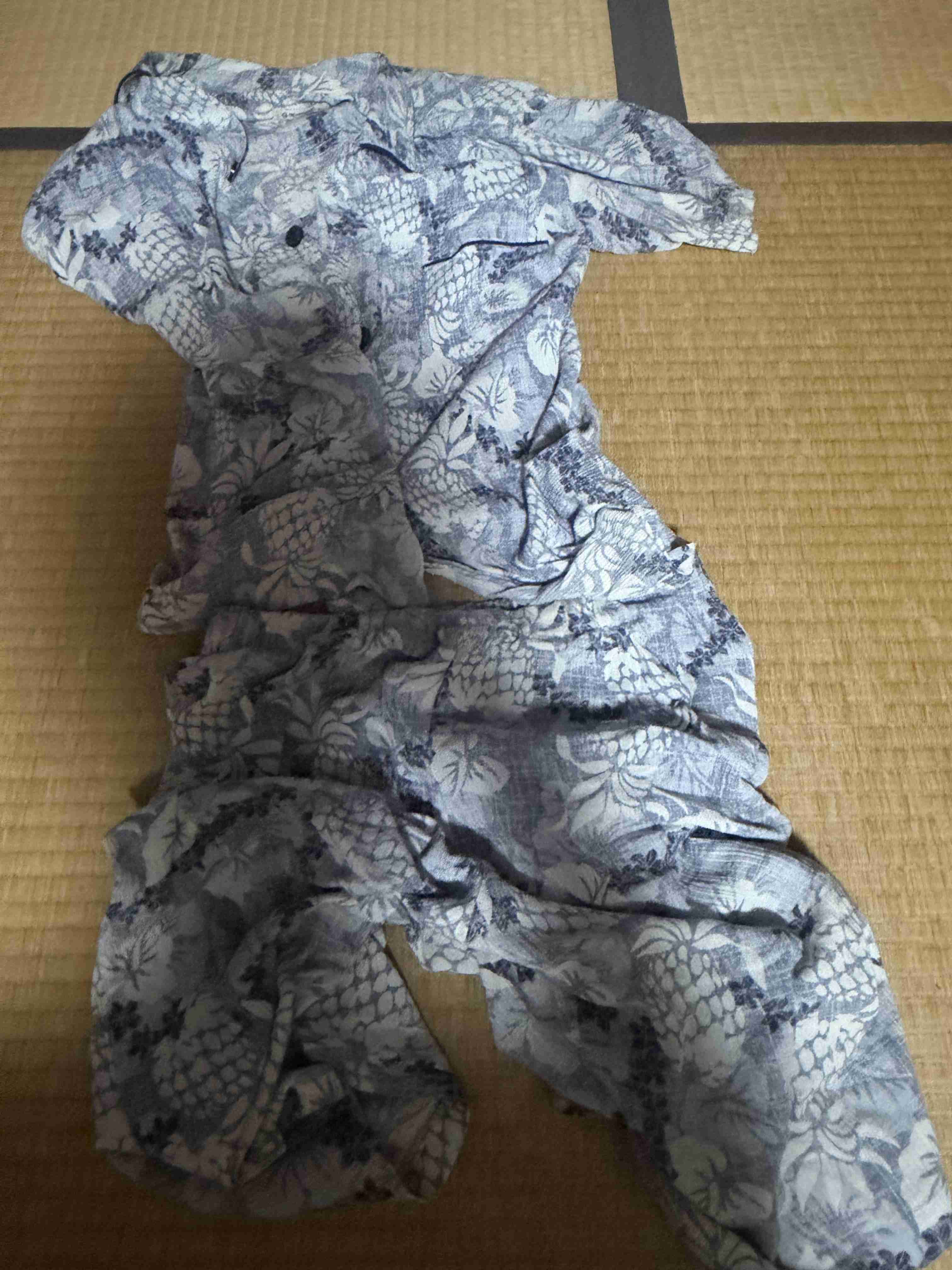 中2の息子が上半身裸で家の中をウロウロします