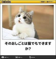 あなたが生きづらさを感じる理由