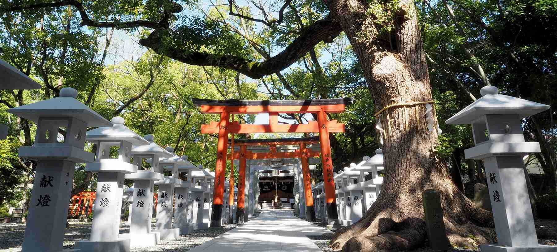 大阪の神社とお寺と遺跡、歴史的建造物など