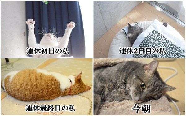 シルバーウィークが終わった