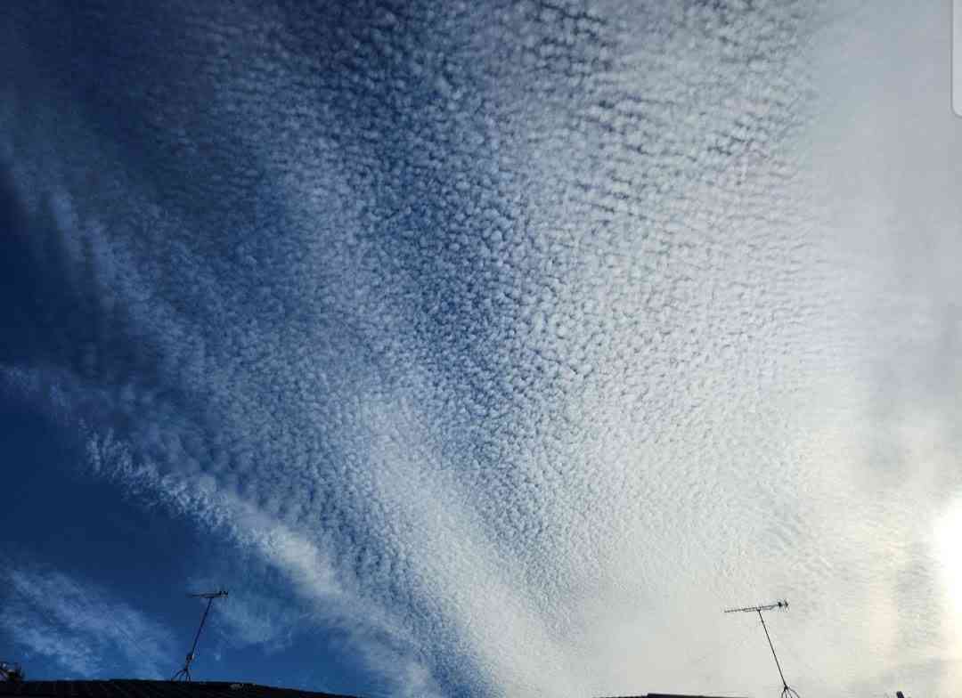 空大好きな人集まれ~(*´∇｀*)