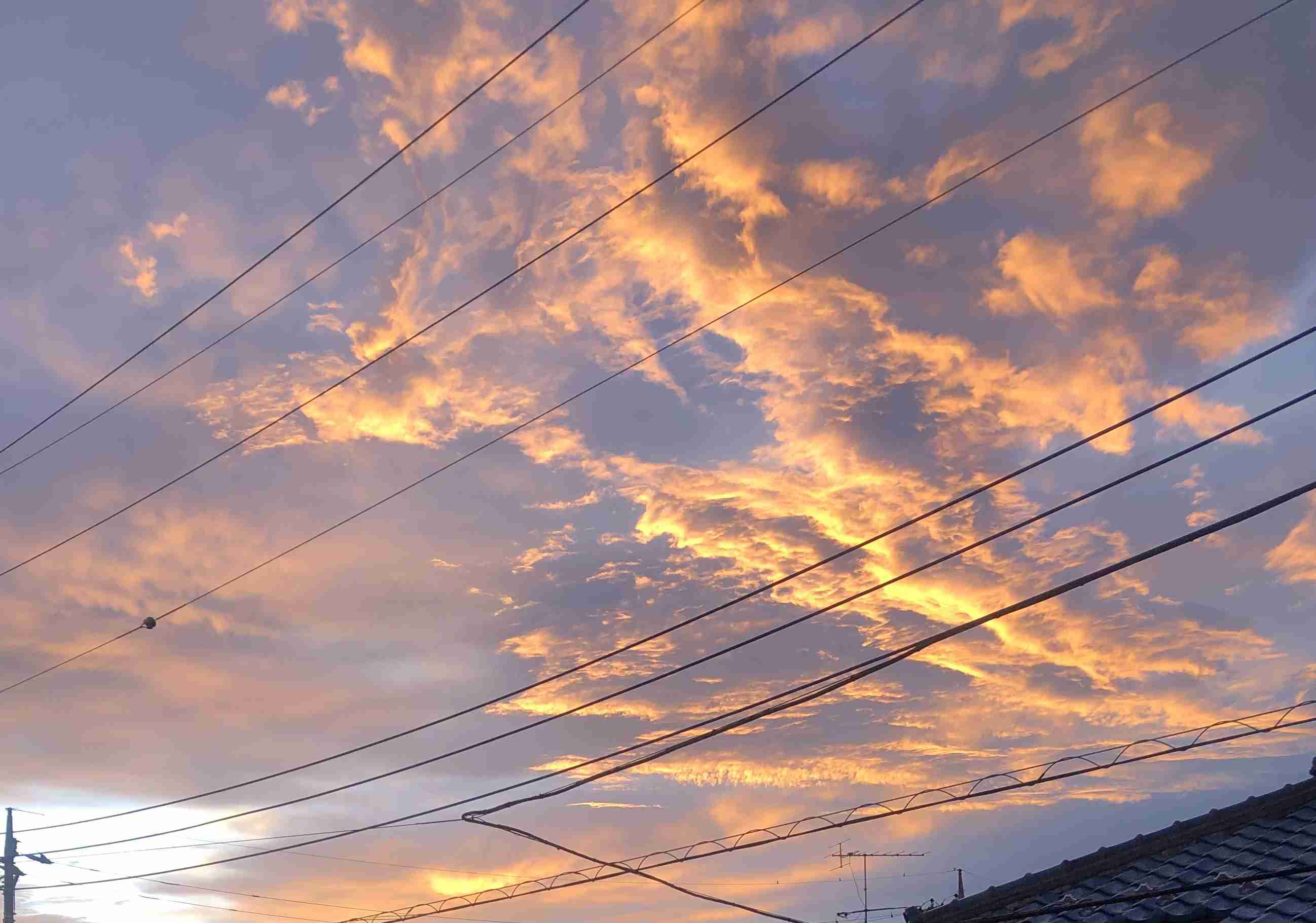 空大好きな人集まれ~(*´∇｀*)