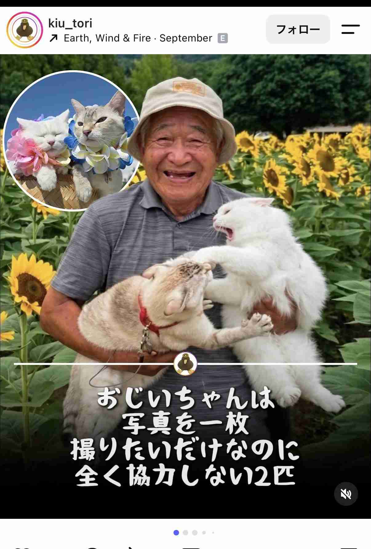 思わずスクショしたもの