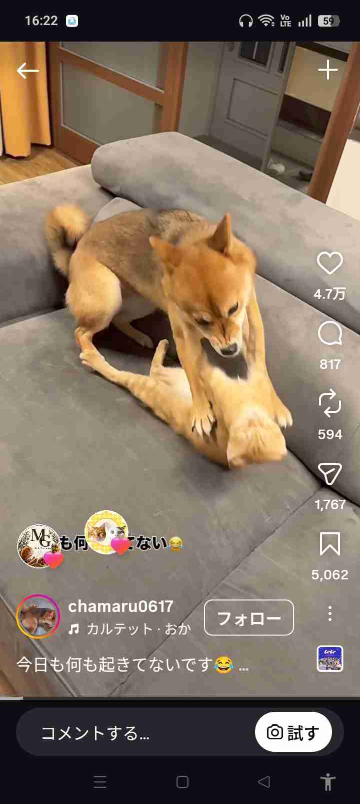 思わずスクショしたもの