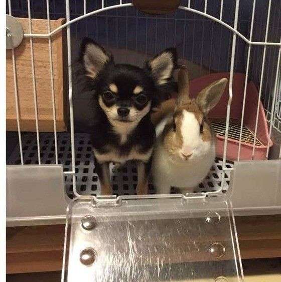 寂しすぎておかしくなりそうな時