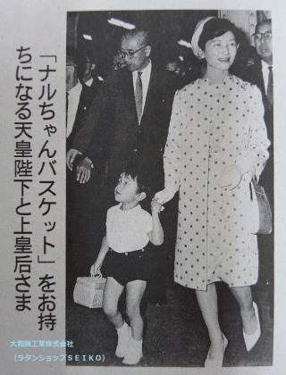 籐【バスケット、持ってる?】柳
