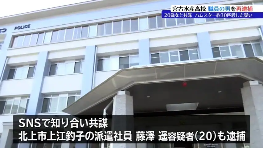 女とホテルでハムスター25匹踏み殺した県立高職員の男 初公判で起訴内容認める 「10年ほど前からザリガニなど殺す動画をSNSに上げて販売」猟奇的な行動