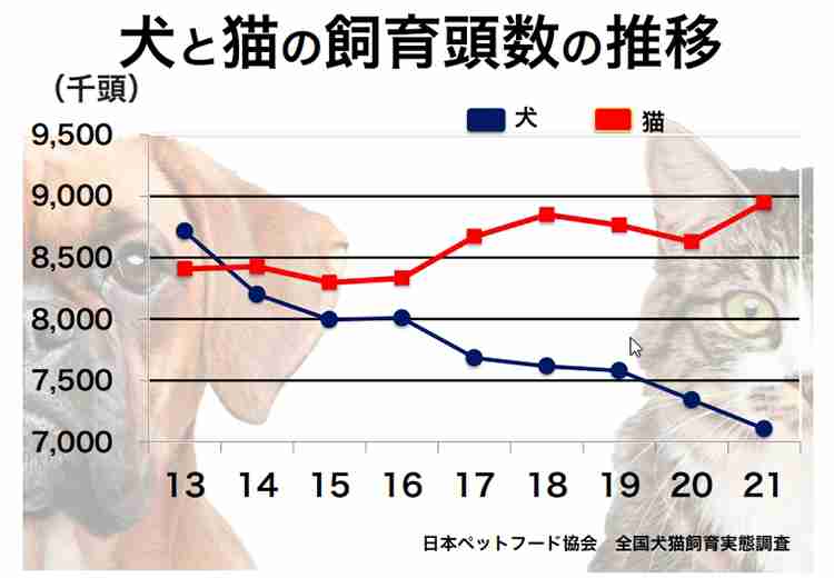 犬猫の保護依頼「増えた」半数　背景に飼い主高齢化―民間の１２０団体に調査