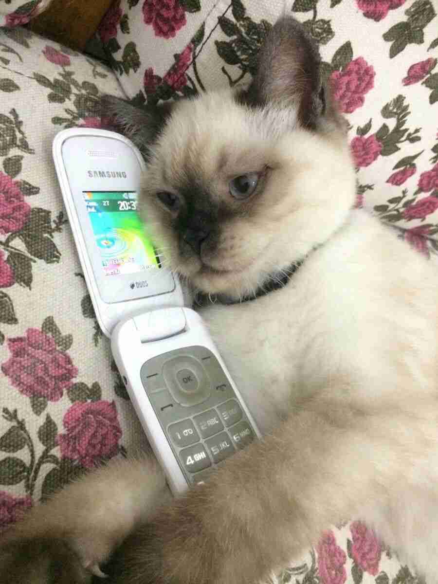 電話対応あるある