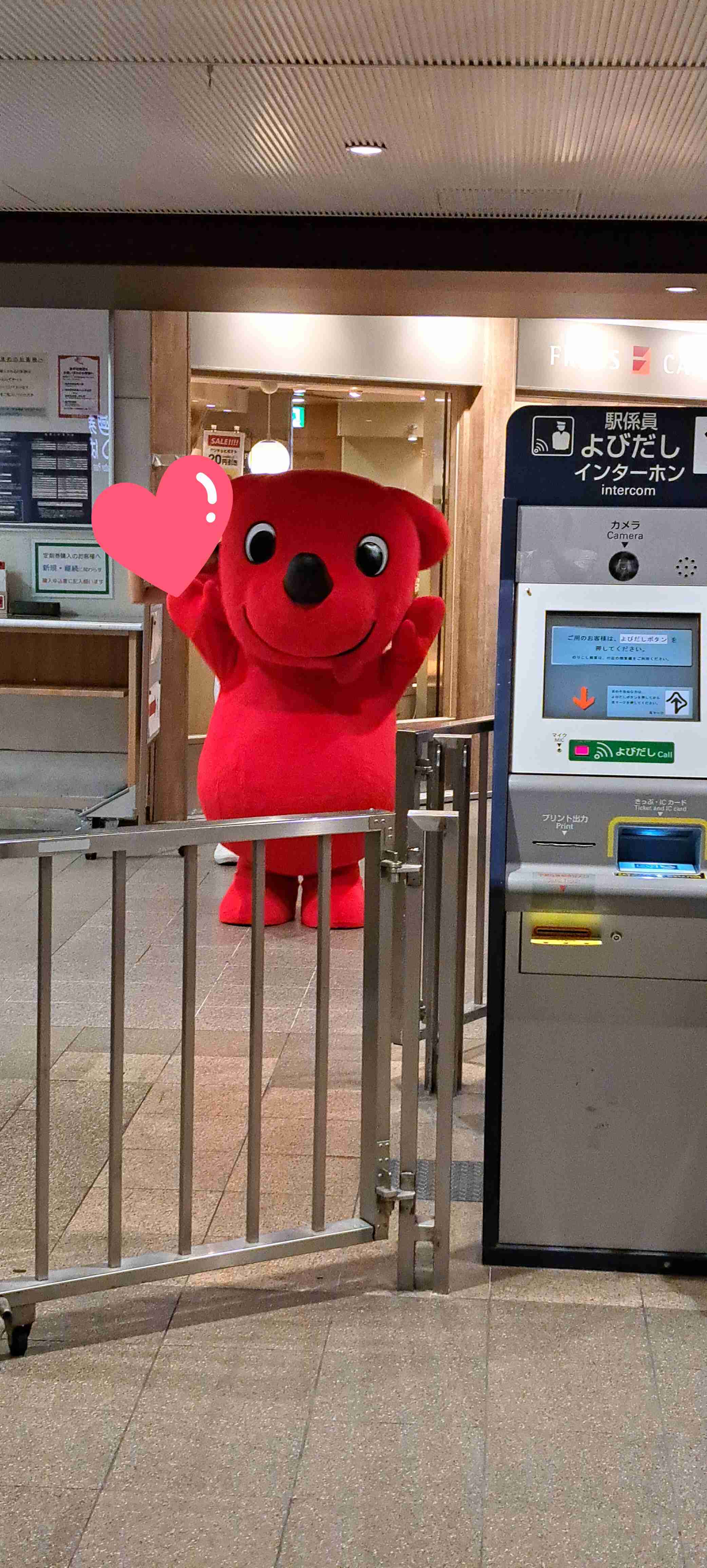 チーバくん、千葉県外の活動を当面休止　「台風から逃げた」心ないコメント寄せられ「苦渋の判断」
