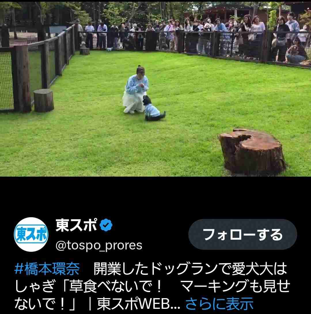 橋本環奈、愛犬は「当たり前に家族」仕事にも同伴「ロケにも毎回一緒に行く」