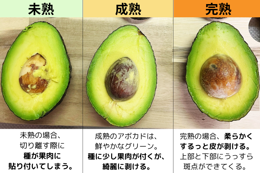 この〇〇検定なら5級とれます
