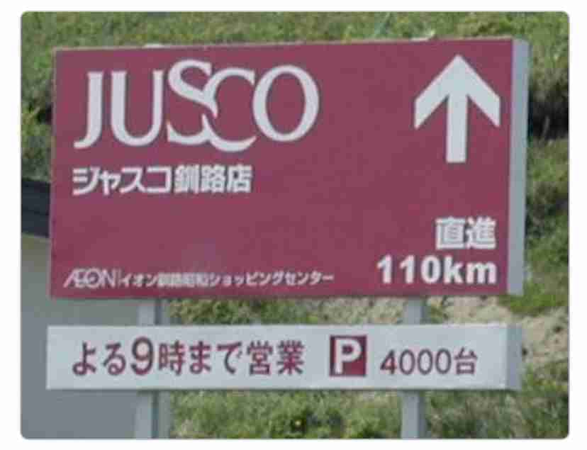 免許取り立ての運転🔰