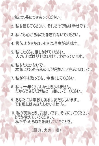 「時間とお金に余裕がない人はペットを飼うなってこと？」かなり厳しそうな状況で大型犬をお迎えしようとしている人の話に「飼ってはダメ」の声が相次ぐ