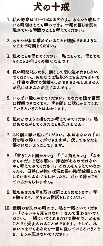 「時間とお金に余裕がない人はペットを飼うなってこと？」かなり厳しそうな状況で大型犬をお迎えしようとしている人の話に「飼ってはダメ」の声が相次ぐ