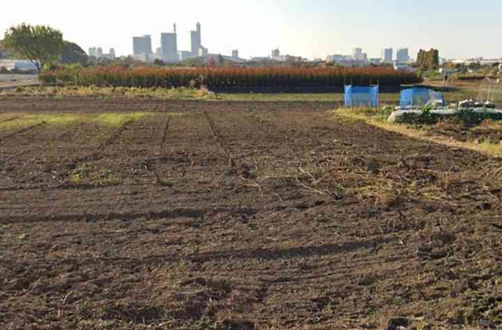 埼玉県は星野源、草なぎ剛、田中みな実、ファミマも生まれ育った「輩出」の郷土 都道府県魅力度ランキング最下位「サイタマの逆襲」
