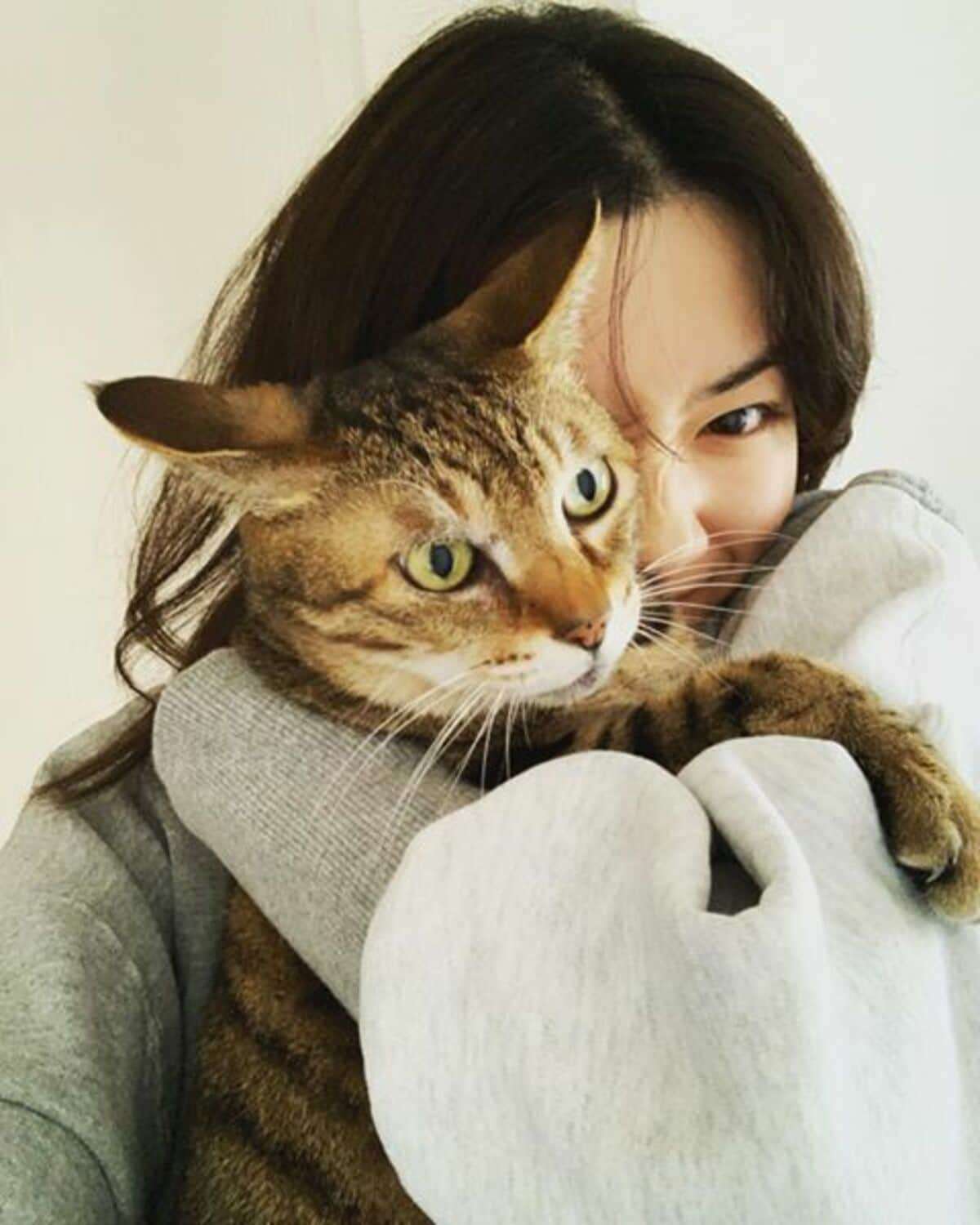 猫の画像を貼ると名前を付けてくれるトピ Part5