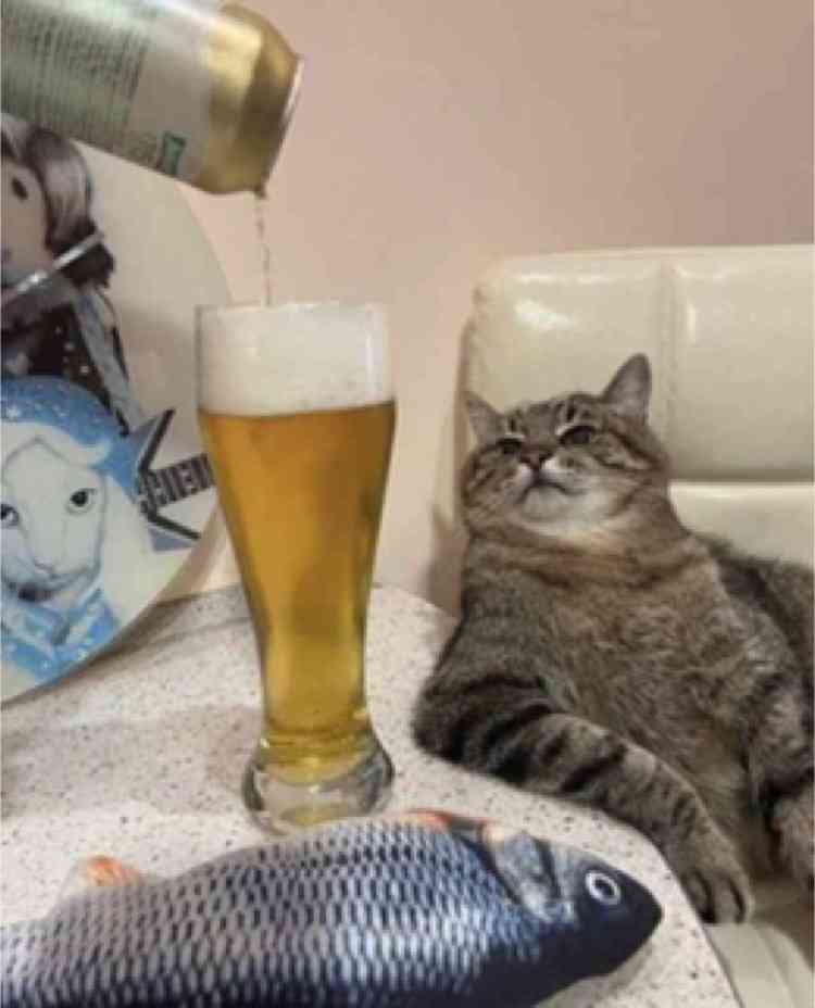 猫の画像を貼ると名前を付けてくれるトピ Part5