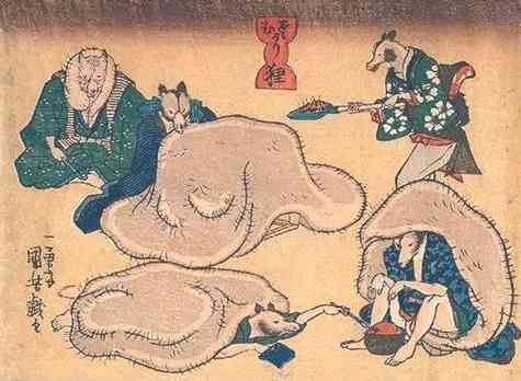 タヌキ好きな人いませんか?