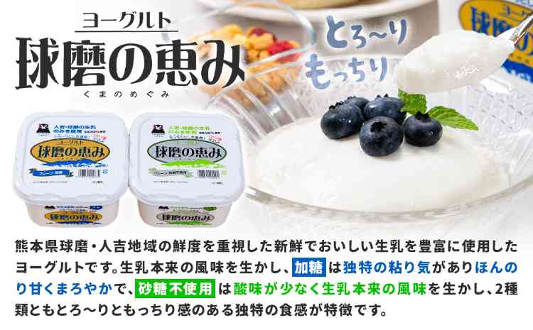 九州物産展でのおすすめ品