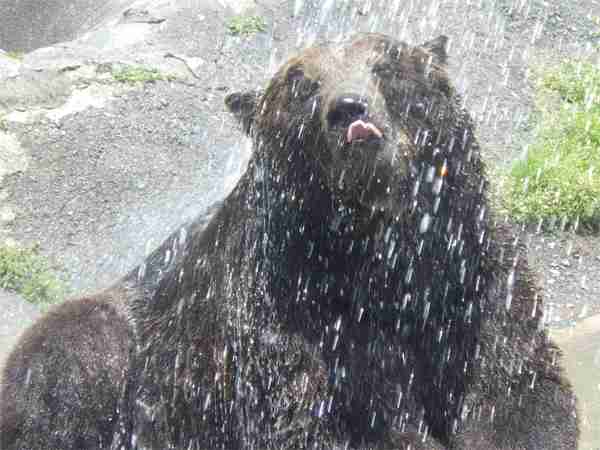 雨が憂鬱な人