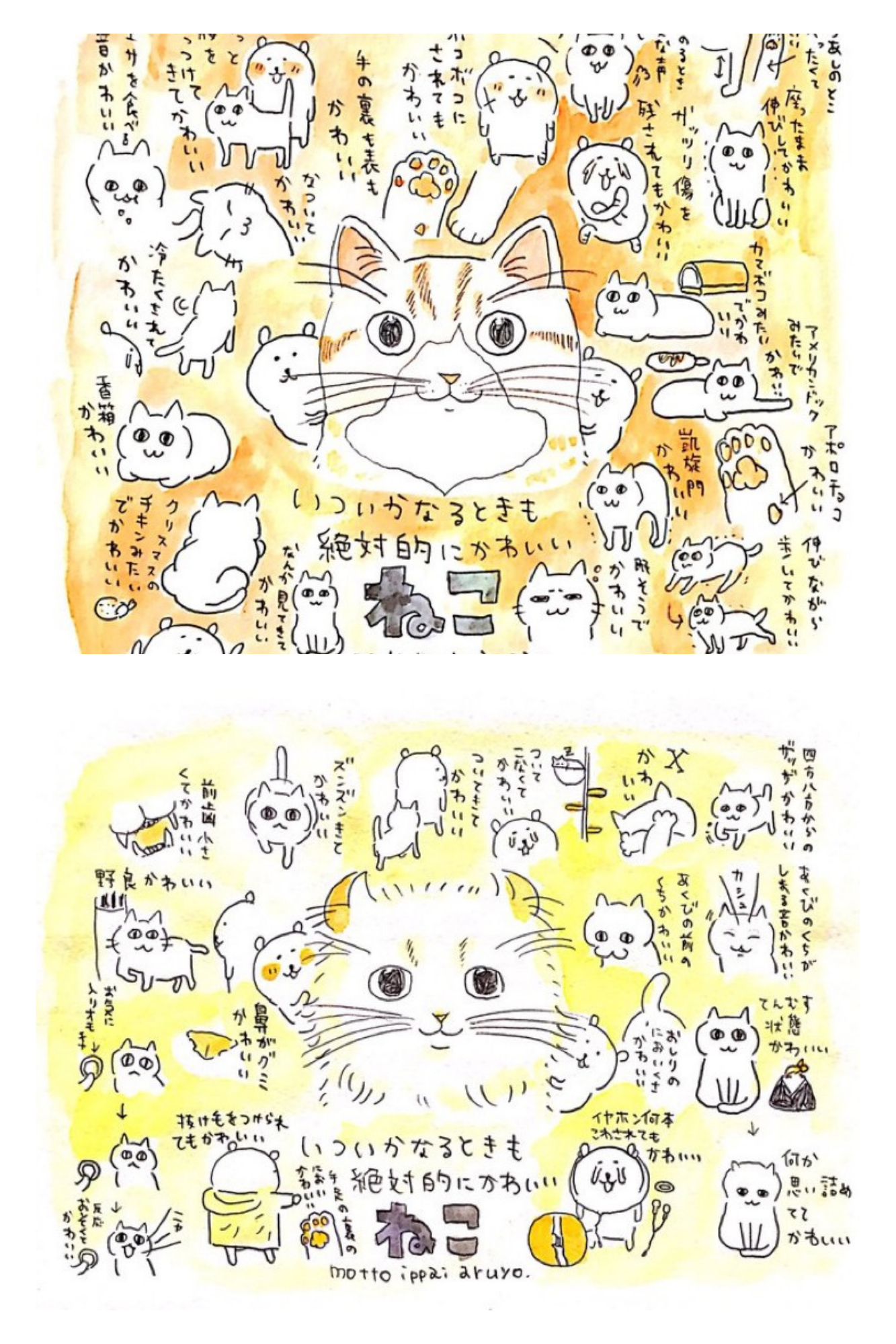 猫の可愛いところをひたすらあげてくトピ【全部は禁止❌】