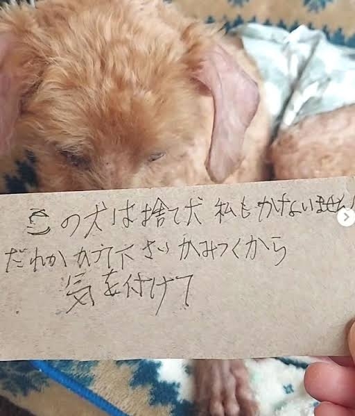 置き去り経験された人〜！