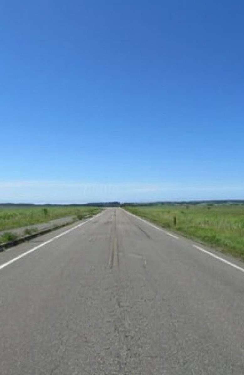 あすから時速30キロに…生活道路での上限、大幅に引き下げ きっかけは園児4人が死亡した川口の事故