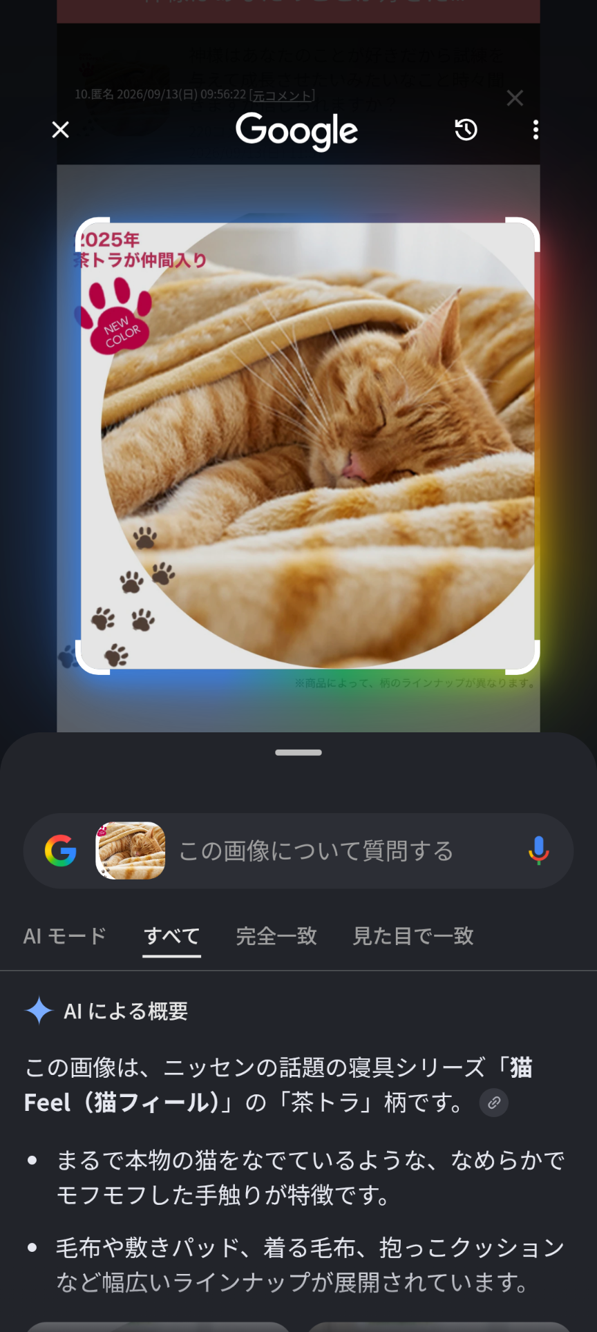 神様はあなたのことが好きだから試練を与えて成長させたいみたいなこと時々聞きますが信じられますか？