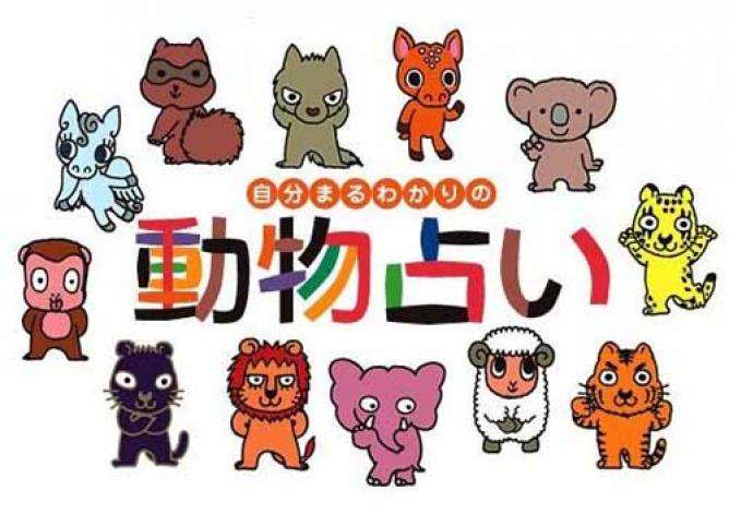 どんな占いが好きですか?