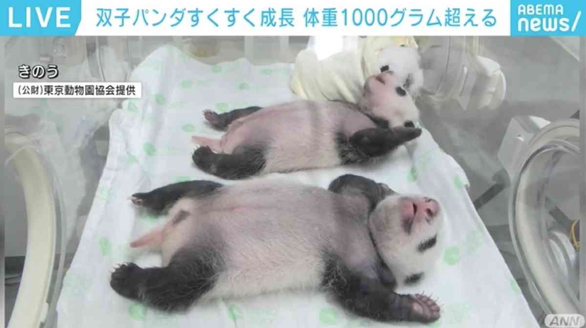 あなたの「かわいい」教えて