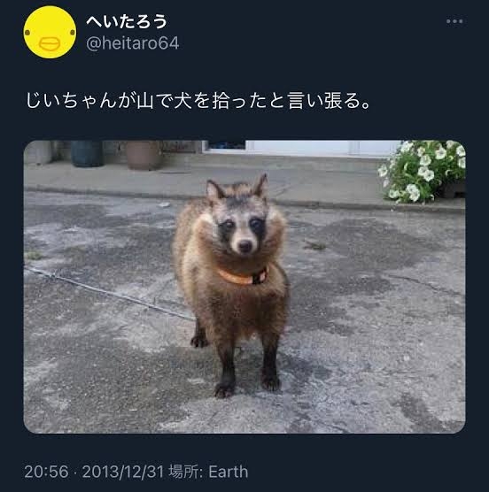 犬の画像を貼ると誰かが名前を付けてくれるトピ Part4