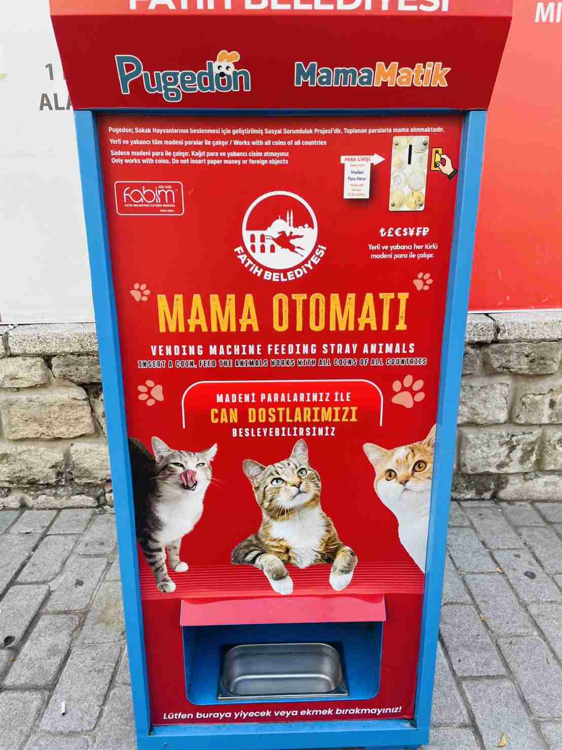 【疑問】野良猫に餌だけあげるのって、優しさなの?