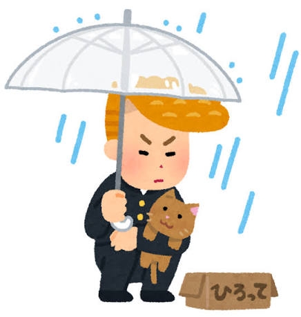 【疑問】野良猫に餌だけあげるのって、優しさなの?
